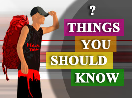 Things You Should To Know